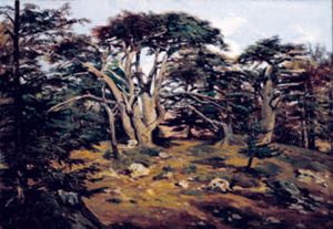 Gli antichi cedri sul monte Libano a Bouman, A. Montfort (1802 - 1884), Parigi, Museo d'Orsay.