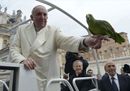 Le più belle immagini dell'udienza generale del Papa