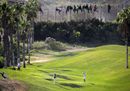 Melilla, frontiera a due facce: migranti sulla rete, sotto si gioca a golf