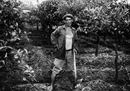 RID zu pippinu 1969