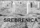 Srebrenica ieri e oggi: a vent'anni dal genocidio