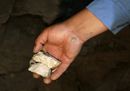 Un combinato di oro, bronzo e quarzo estratto nella miniera The Proigreso in Bolivia. Foto Reuters