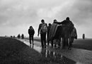 © Andreja Restek Hungary Serbia border 