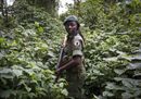 © MONIQUE Jaques_DRCongo