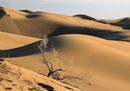 Lut Desert in