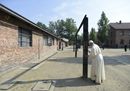 Pope Francis in19