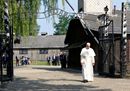 Pope Francis walks68
