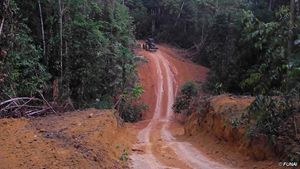Taglialegna e allevatori potenti stanno abbattendo la foresta dei Kawahiva, nell’Amazzonia brasiliana.  © FUNAI
