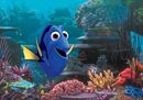 Alla ricerca di Dory, ecco l'atteso sequel di Alla ricerca di Nemo