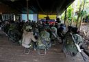Colombia, i guerriglieri al lavoro per costruire la pace 