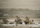 CS-011216-namibia_rx10-239.jpg
