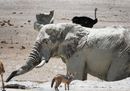 CS-271116-namibia_rx10-030.jpg