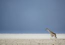 CS-271116-namibia_rx10-048.jpg