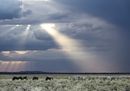 CS-271116-namibia_rx10-073.jpg
