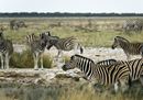 CS-281116-namibia_rx10-085.jpg