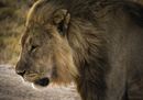 CS-301116-namibia_rx10-153.jpg