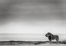 CS-301116-namibia_rx10-198.jpg