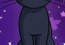 gatti sailor moon 2.jpg