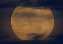 A full moon52.jpg