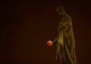 The super blood14.jpg