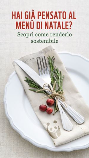 Come Fare Un Menu Di Natale.Un Menu Di Natale Ecosostenibile I Consigli Del Wwf Famiglia Cristiana