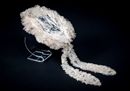 Mourning cap worn by Queen Victoria (c) SWNS  - Historic Royal Palaces.jpg