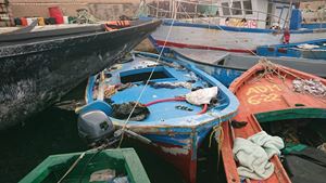 Alcuni dei barconi di Lampedusa trasportati al carcere di Opera (Milano) per essere trasformati in violini, viole e violoncelli.