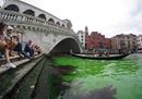 Venezia, misteriosa acqua verde sotto il ponte di Rialto