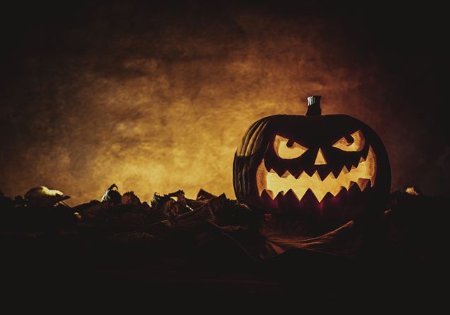 «Halloween is a diabolical holiday. Let’s use our brains well, they are not empty pumpkins”