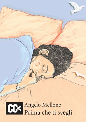 La copertina dell'ultimo libro di Angelo Mellone