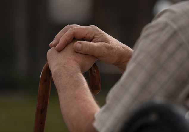 «But are all grandparents really good?»