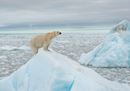 © Richard Barrett _ WWF-UK.jpg