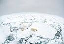 © Richard Barrett WWF-UK_.jpg