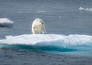 © Richard Barrett__ WWF-UK.jpg