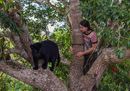 Nel cuore della foresta amazzonica in compagnia di un giaguaro