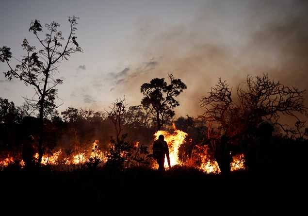 Brazil, the Amazon is burning. The shadow of crime behind the fires