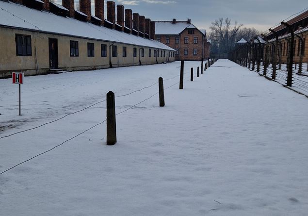 Auschwitz 80 years later, a necessary journey