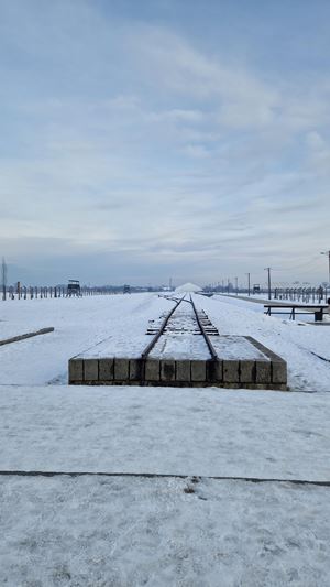 In the photo: the train tracks in Birkenau (Photo A. Stella)