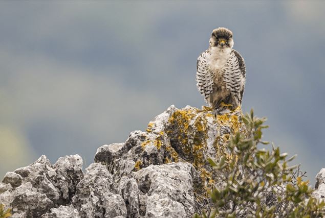 The most beautiful images of the country’s natural heritage