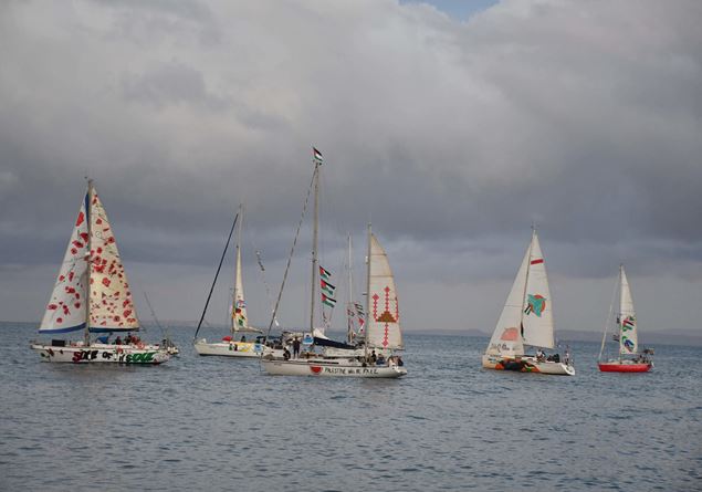 But the flotilla is also a complaint against the inertia of governments