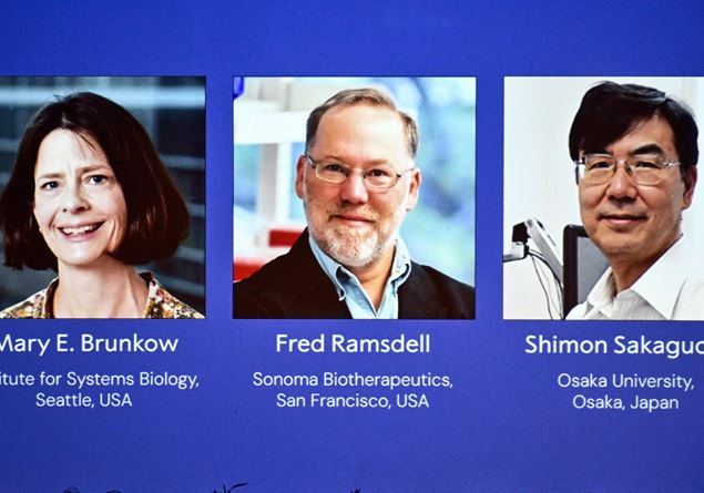 Nobel Prize for Medicine 2025: what T-reg cells are and what they are for, and why they will revolutionize the treatment of many diseases