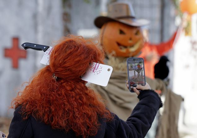 Halloween, behind the pumpkin, the trap of evil Halloween, behind the pumpkin, the trap of evil