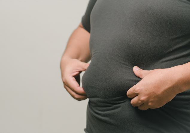 Obesity is a disease, Italian law is the first in the world