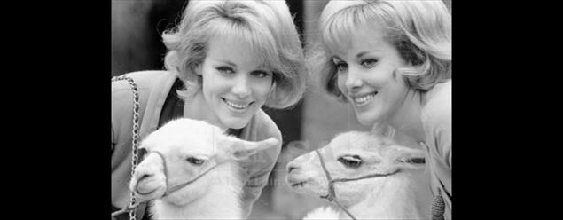 The death of the Kesslers, when the twins become one