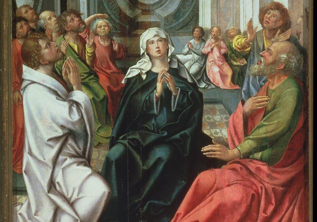 «No new titles or dogmas are needed to love Mary: she herself was clear that the only mediator is Jesus»