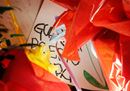 FAMCRISTIONLINE_20250224155225930_aebb8d3a2bd84ed2a0d4dfdeed1ef905.jpg