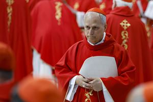 Robert Prevost cardinale.