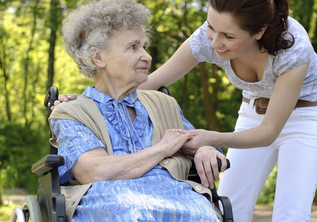 Carers, the new heart of domestic care