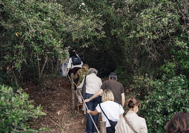 The Salento of the Paduli who is reborn: “A community pact against the abandonment of the lands and depopulation”