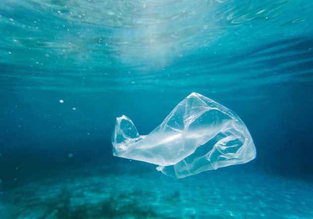 Plastic, the poison that survives us